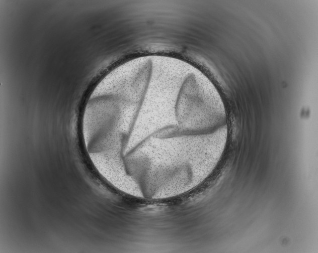 X0000102820447200809151019