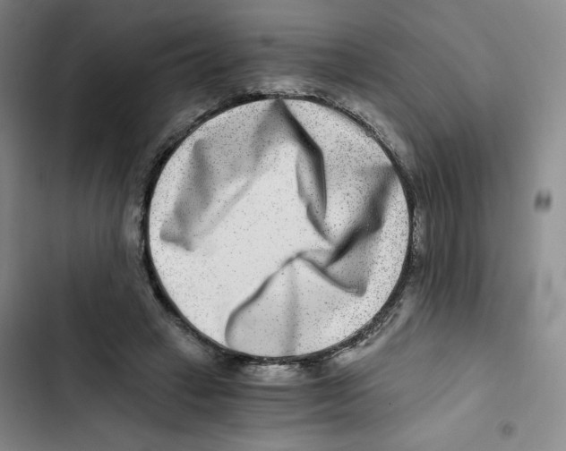 X0000102820449200809151019