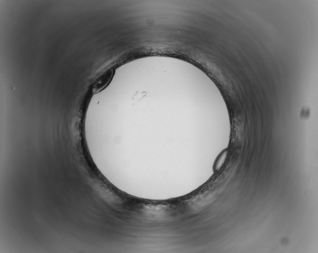 X0000102820450200809151019