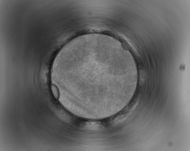 X0000102820451200809151019