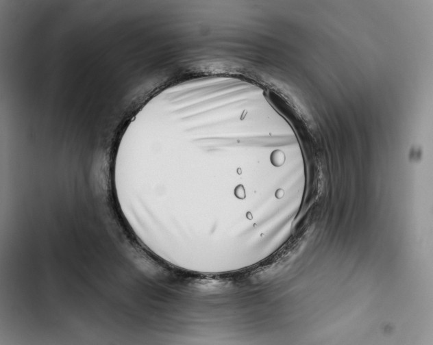 X0000102820453200809151019