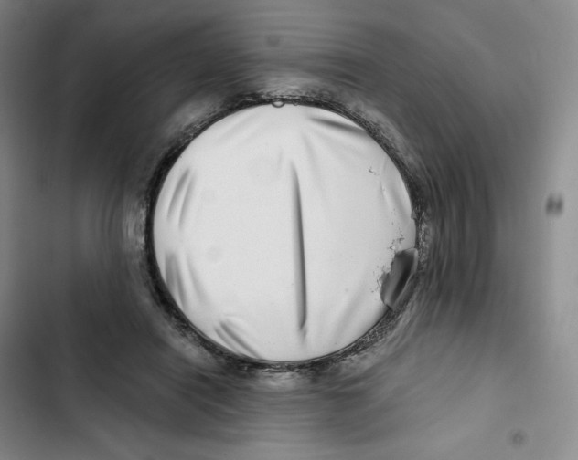 X0000102820454200809151019