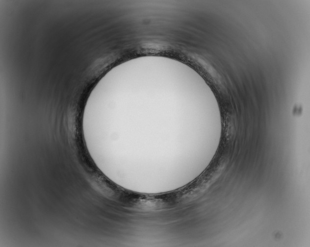 X0000102820455200809151019