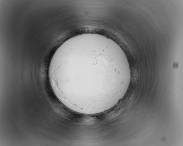 X0000102820456200809151019
