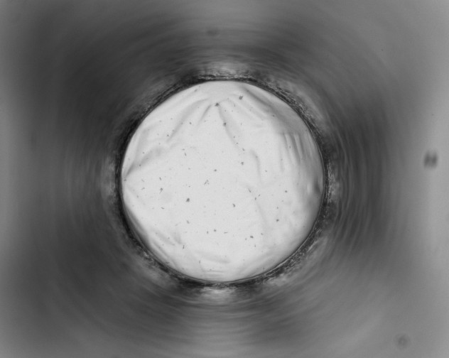 X0000102820457200809151019