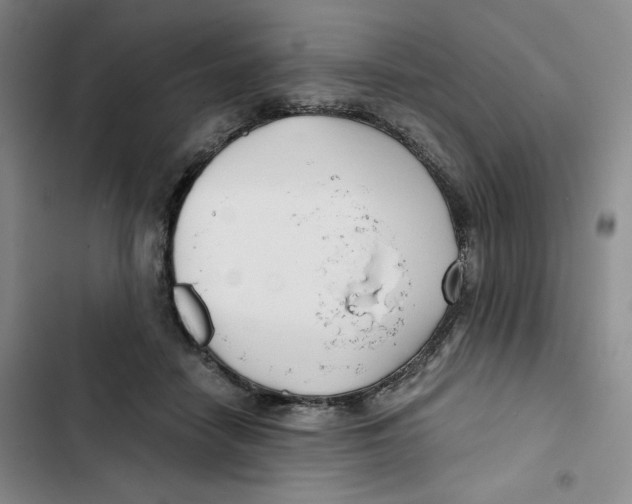 X0000102820458200809151019
