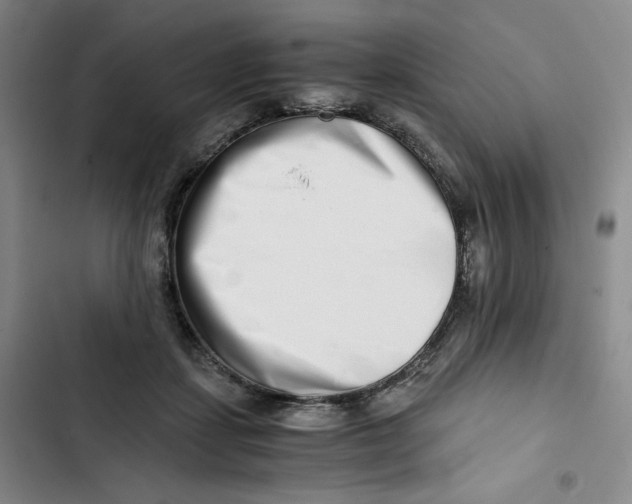 X0000102820459200809151019