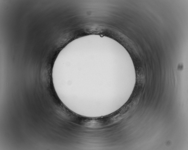 X0000102820460200809151019