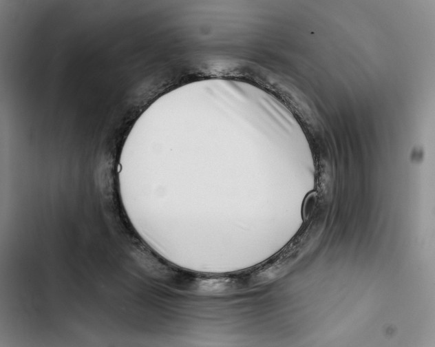 X0000102820461200809151019
