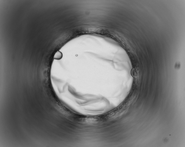 X0000102820462200809151019