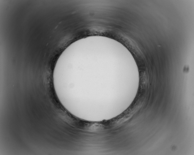 X0000102820463200809151019