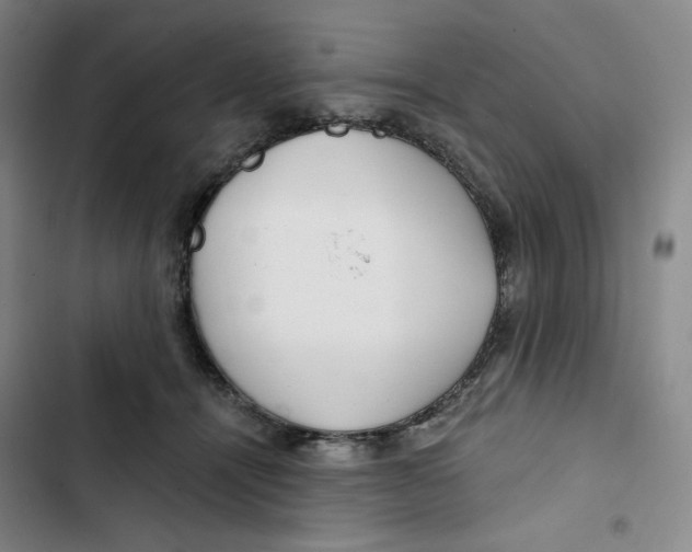 X0000102820464200809151019