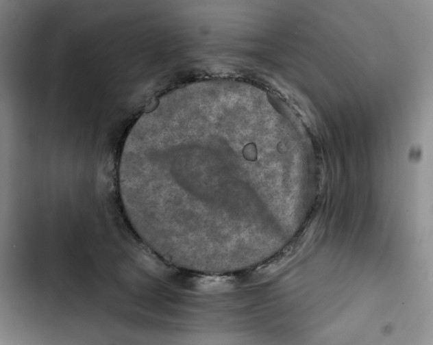 X0000102820465200809151019
