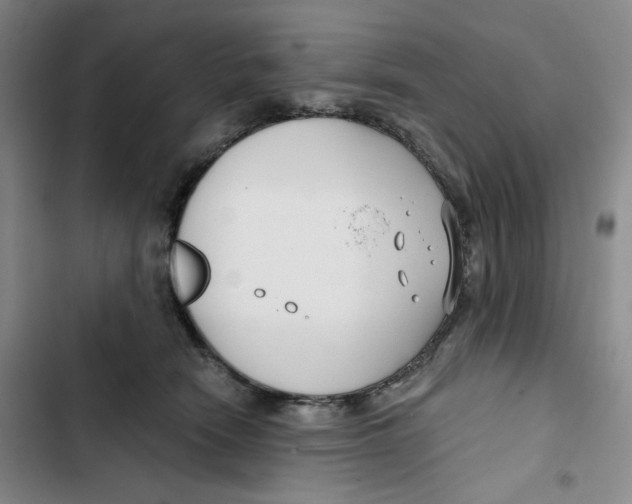 X0000102820466200809151019