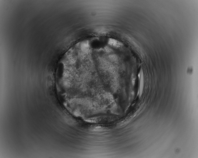 X0000102820467200809151019