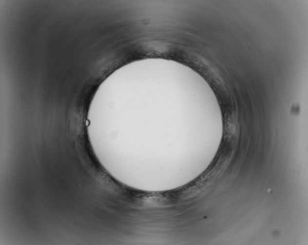 X0000102820468200809151019