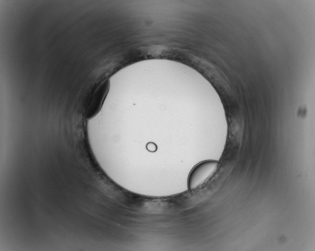 X0000102820470200809151019