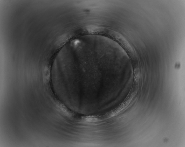 X0000102820471200809151019