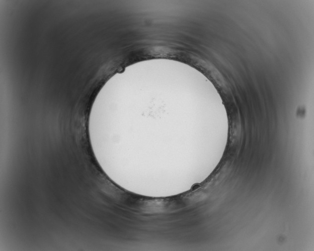 X0000102820473200809151019