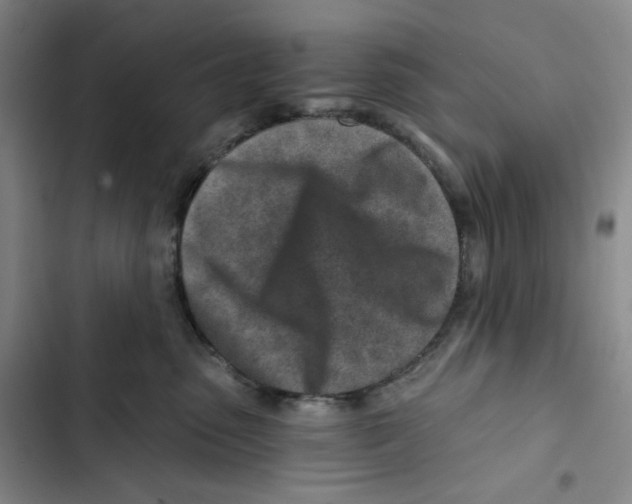 X0000102820475200809151019