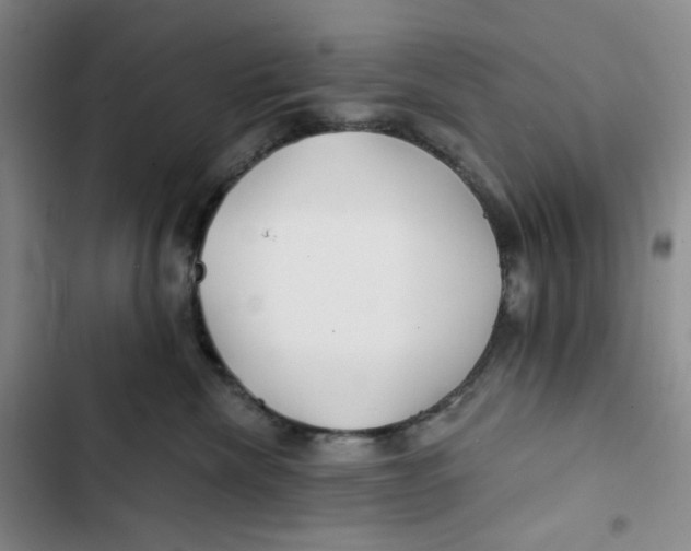 X0000102820476200809151019