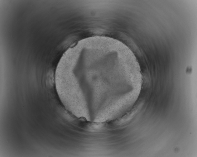 X0000102820479200809151019