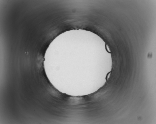 X0000102820480200809151019