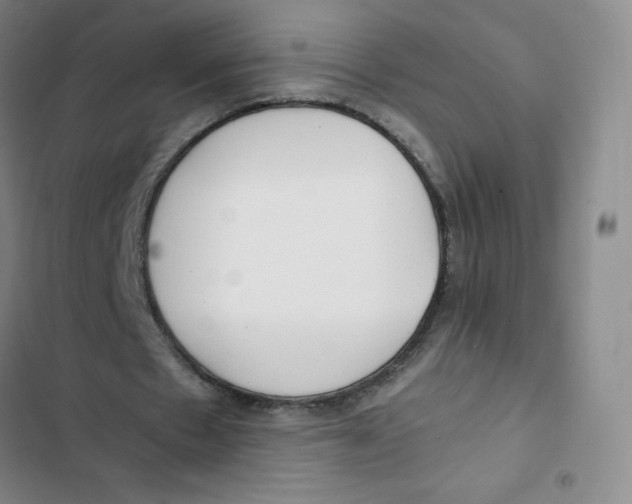 X0000102820481200809151019