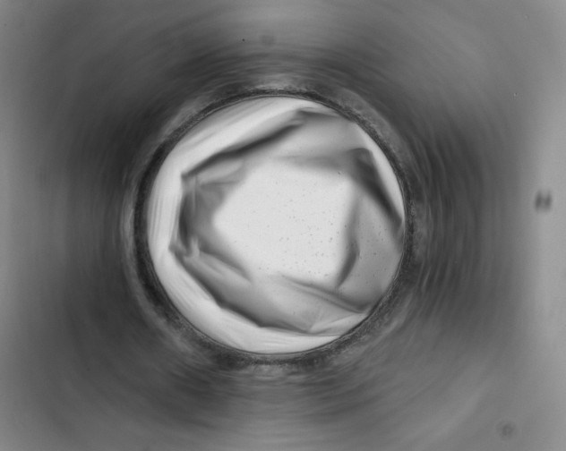 X0000102820482200809151019