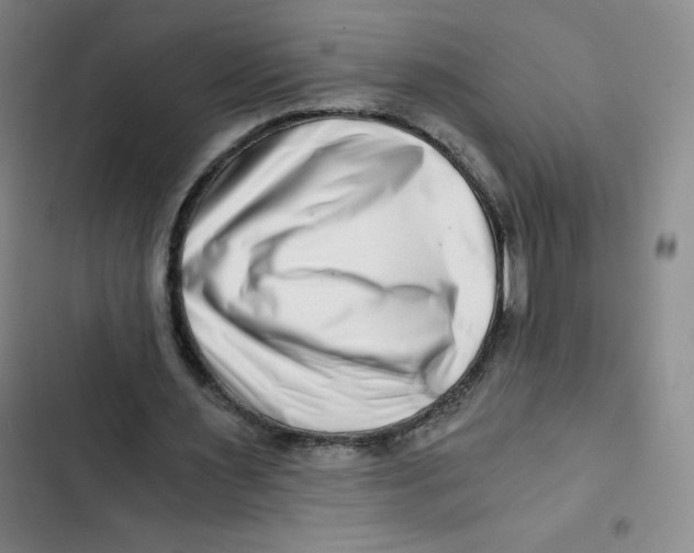 X0000102820483200809151019