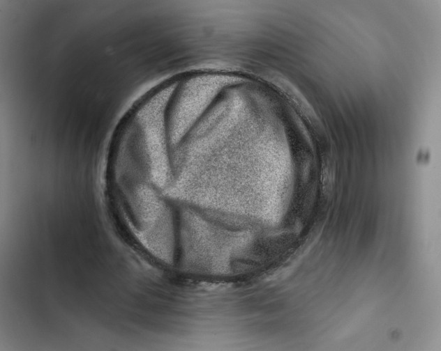 X0000102820484200809151019