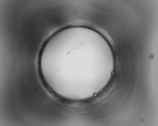 X0000102820485200809151019
