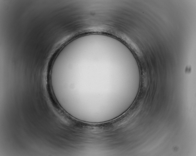 X0000102820486200809151019