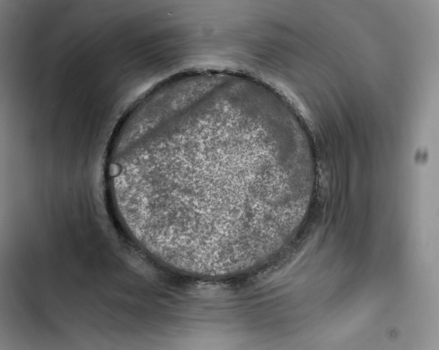 X0000102820487200809151019