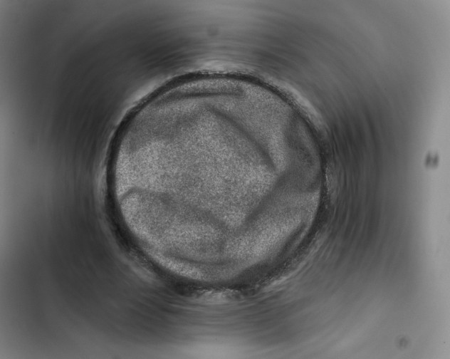 X0000102820488200809151019