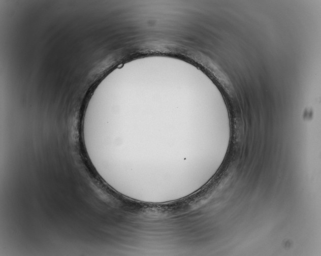 X0000102820489200809151019