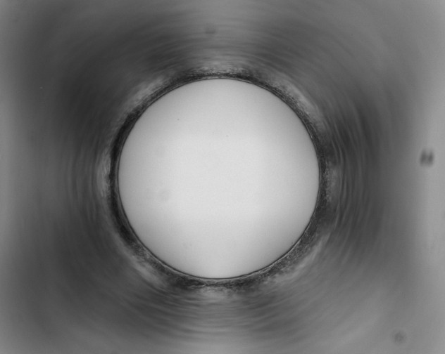 X0000102820490200809151019