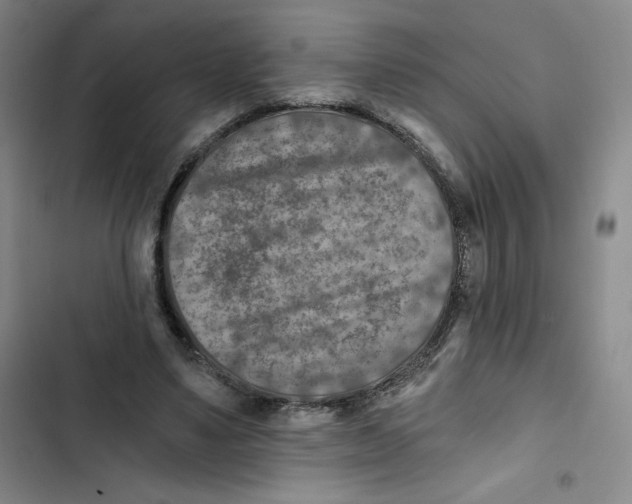 X0000102820491200809151019