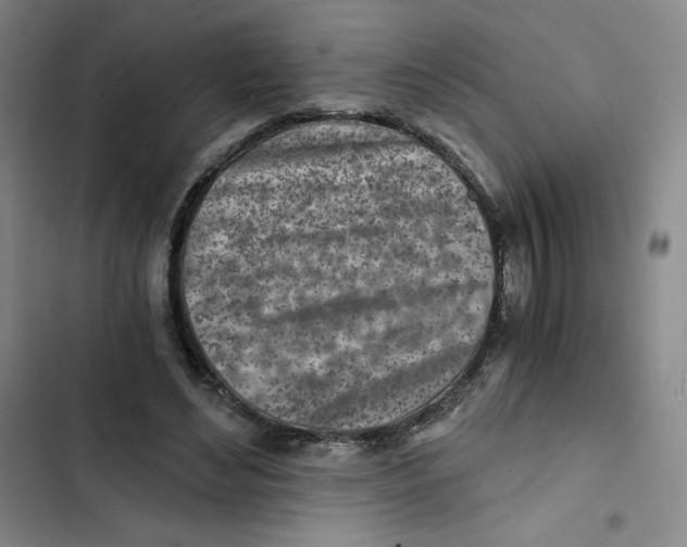 X0000102820492200809151019