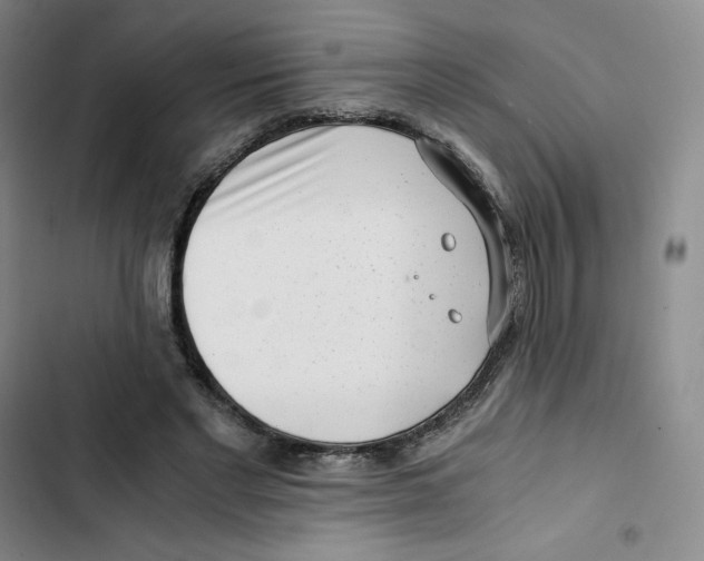 X0000102820493200809151019