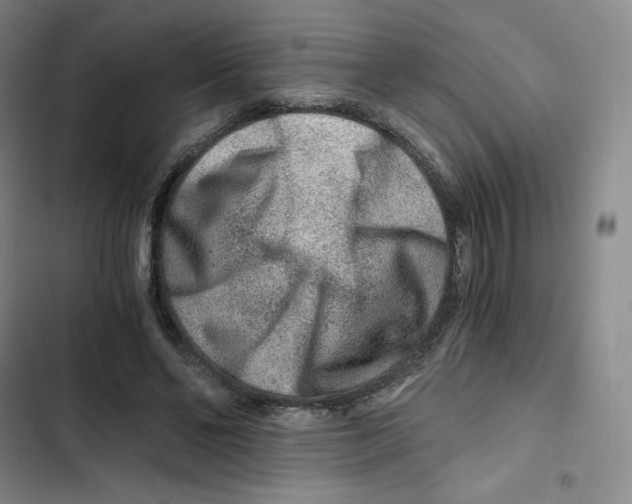 X0000102820494200809151019