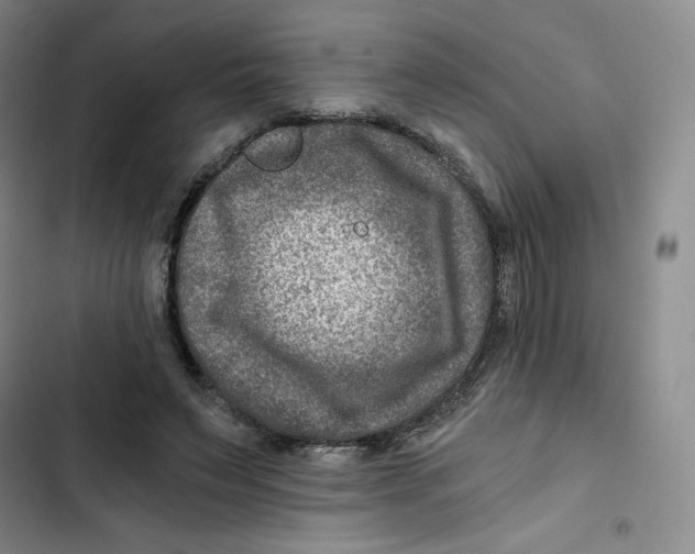 X0000102820495200809151019