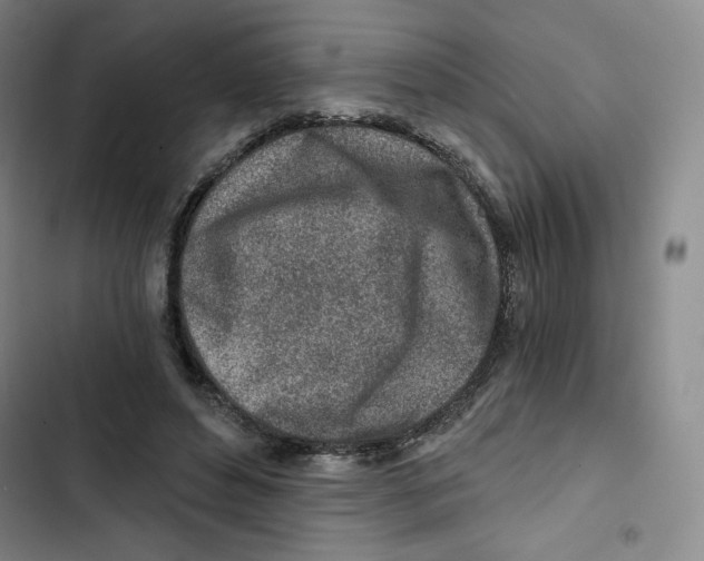 X0000102820496200809151019