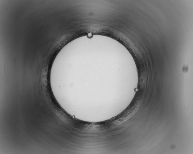 X0000102820497200809151019