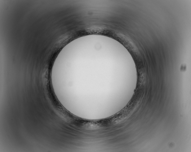 X0000102820498200809151019