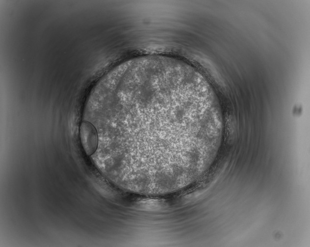 X0000102820499200809151019