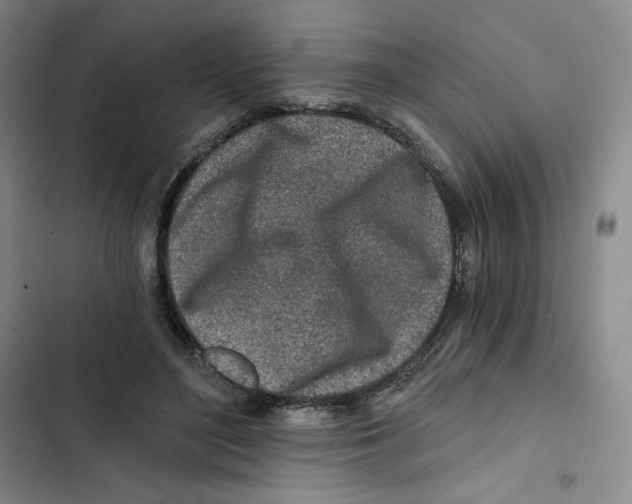 X0000102820500200809151019