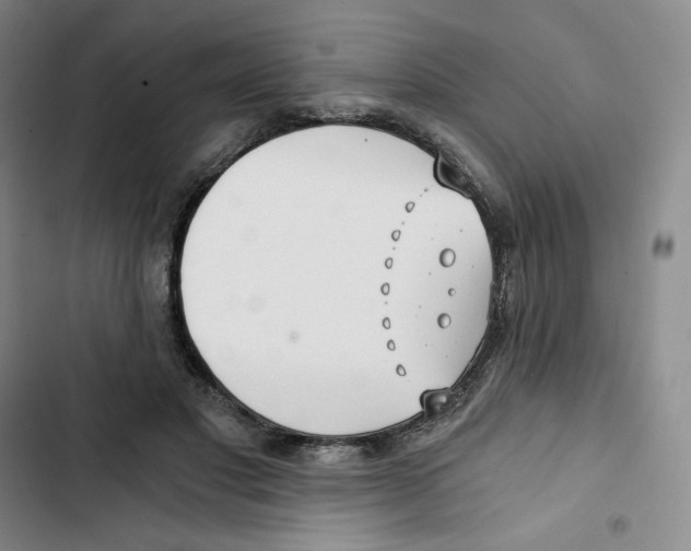 X0000102820501200809151019