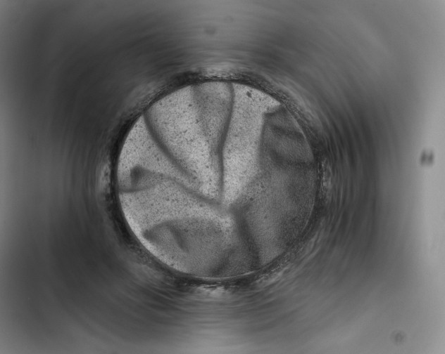X0000102820502200809151019