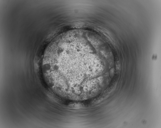 X0000102820503200809151019